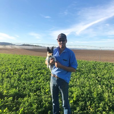 Mixed Farmer at Goulburn. Sheep, cattle, dual purpose cropping and Hay.