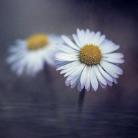 One Fatal Moment - Film (@onefatalmoment1) 's Twitter Profile