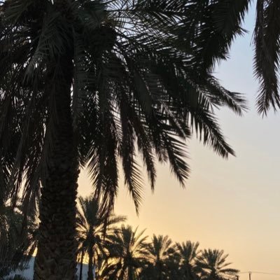 visuale9's profile picture. ✨ᗩᗷᗪᑌᒪᒪᗩᕼ ᗩᒪᗯᗩᕼᗩIᗷI✨