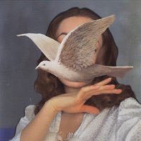 TaifAlii's profile picture. -