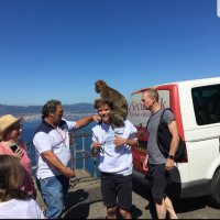 Henry Pascoe (@pascoe_henry) 's Twitter Profile