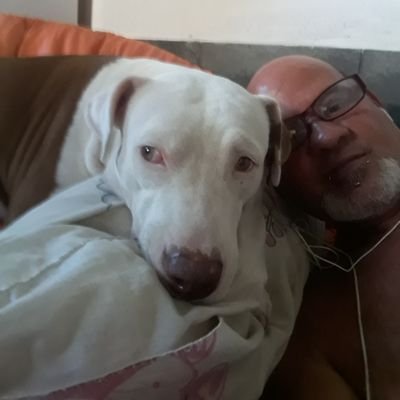EU e PITTY Ligados nos inimigos do Brasil e somos robôs milicianos de bolsonaro fechados com Sara e Abraham