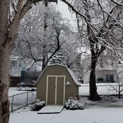 superpatriot11's profile picture. MAGA🇺🇸 Trump2020