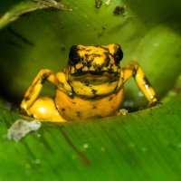 Lab of Organismal Biology (@lob_su) 's Twitter Profile