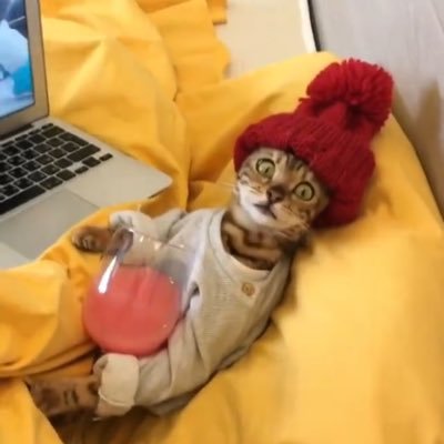 SaynIt4DLstTime's profile picture. lame life and dumb jokes is all I can offer