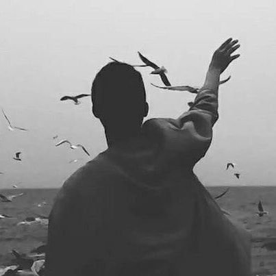 _limelightv's profile picture. dm your thoughts to be heard.