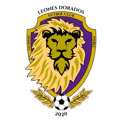Somos LEONES DORADOS, equipo de futbol profesional.