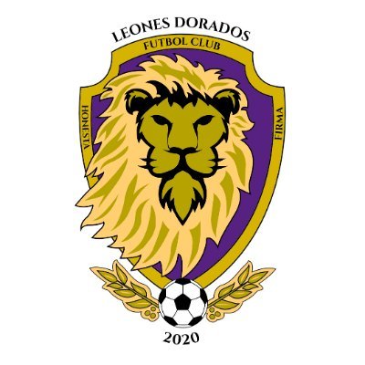 Leones Dorados Futbol Club (@leonesdoradosfc) / Twitter