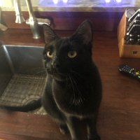 mfn (@nobilemike) 's Twitter Profile