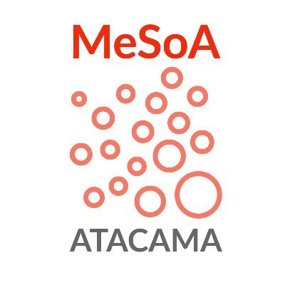Mesa Social Autoconvocada de Atacama (MeSoA)