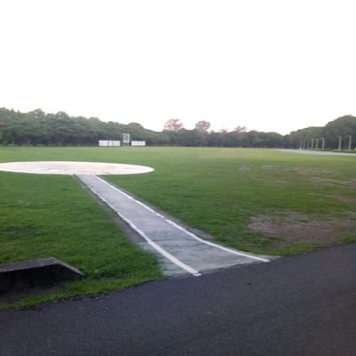 snappyscruffy's profile picture. Treated me kind please