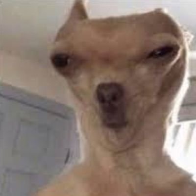 chuubychuuby's profile picture. Drink cake