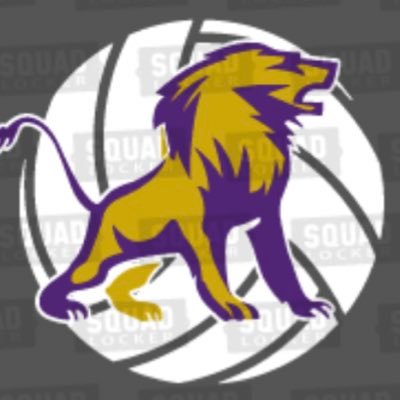 @LadyLionVball