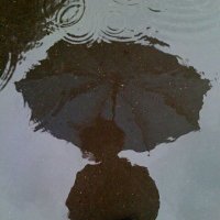 Aiden (@brollyboy) 's Twitter Profile