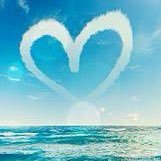 ray08269123's profile picture. 裏垢男子。20代前半。 DD2 DM消えてしまったのでやり取りしてた方もう一度送っていただけると幸いです🙇‍♂️