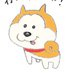@shiba_isthebest