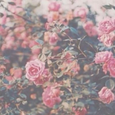 sokotahenn6's profile picture. 