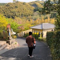 Nix (@nixcinco) 's Twitter Profile