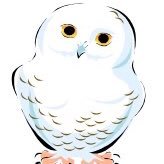 Mary marsden - @Marywiseowls Twitter Profile Photo