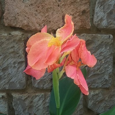 pkmbuchu's profile picture. Liberal Conservative. Respects peoples divergent views, wishes and aspirations. 
To inspire, inform and influence.
And make a better World.