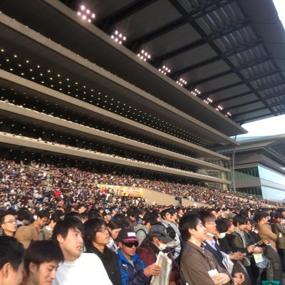 競馬好きです。競走馬はさらに好きです。特にステイゴールド系。独自にはじき出した競争馬の指数とG1 レースの予想を主につぶやいています。馬券は単複メインで買っています。2頭、3頭当てるなんて私には無理です😁よろしくお願いします。