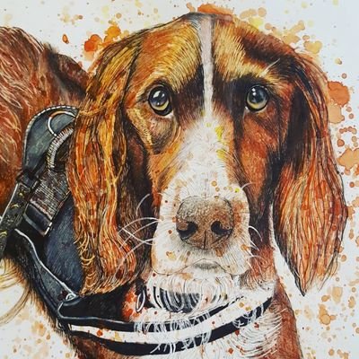 Pet Portraits and Pet Art