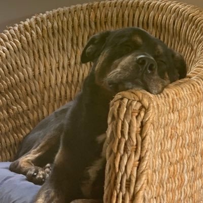 AmanoDimaggio's profile picture. 