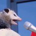 trap possum (@pimpinpossum69) Twitter profile photo