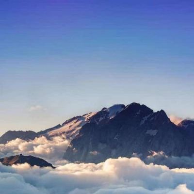 andrew11087940's profile picture. 111