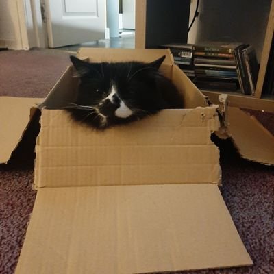 mairicee's profile picture. 