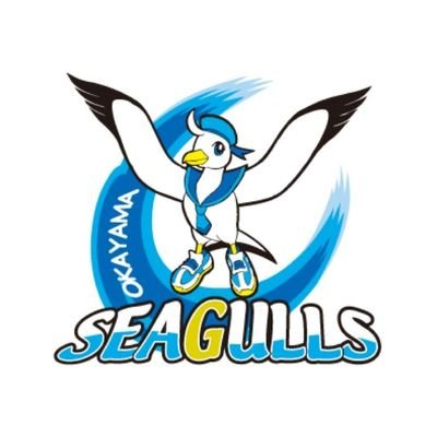 okym_seagulls Profile Picture