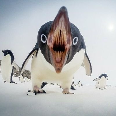 あぜむさんのプロフィール画像