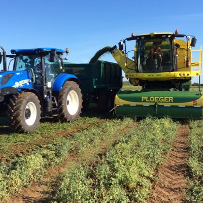 Farm Manager, growing Arable Crops and Vining Peas. Originally from West Norfolk.