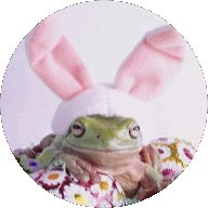 BunnyToad69 (@btoad69) 's Twitter Profile