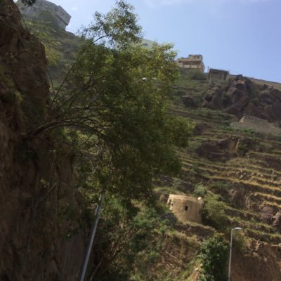 Hamedi_Samren's profile picture. ماتفعله يمناك في واجب الغير تلقاه لاضاقت عليك الوسيعه