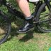 Boots and a CKC on a Bike (@boots_bike) Twitter profile photo