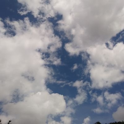 leafspring9009's profile picture. My likes and following lists do not represent my political view or likes but rather for points of interest.