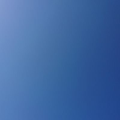 内容ばらばらです(無言フォロー失礼します🙇♀️のぞさん時代の雪組から見てまして、朝美さんご贔屓です!周りに宝塚のこと話せる人がいなくてこっちで呟いてます!20↑/福岡