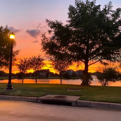 pavantaurean's profile picture. 