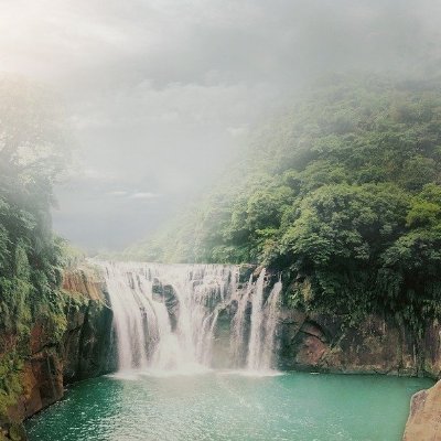 markinkyoto's profile picture. 