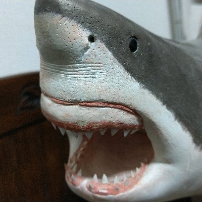 サメの模型を趣味で作ってます。