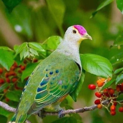 AbdullahAlmath2's profile picture. اللهم احفظ اليمن