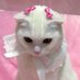 🍒 mi (@_____norr) Twitter profile photo 🍒 mi (@_____norr) Twitter profile photo
