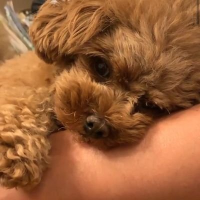 Maaarrriiaa's profile picture. Keep smile and talk less, do more...GBU