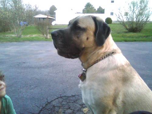 Rita_Buhite's profile picture. Do you believe? Endurance and persistence will be rewarded.