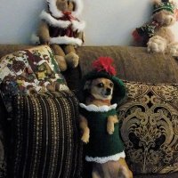 Kathy Mitchell, PLEASE, NO FOLLOW BACK LISTS!! (@allnkat) 's Twitter Profile