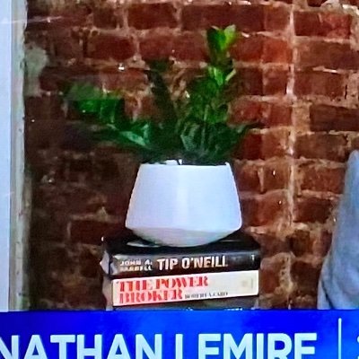 LemirePlant's profile picture. Help. I'm a plant trapped on a tower of books during a pandemic. (added #TheBigLie!)