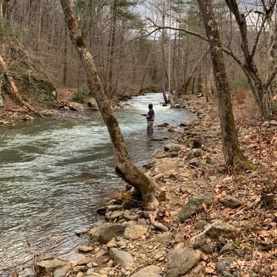 gorgonparis's profile picture. mmmmmmmmmmm