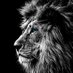 HugoBlack83 (@hugo_black83) Twitter profile photo HugoBlack83 (@hugo_black83) Twitter profile photo