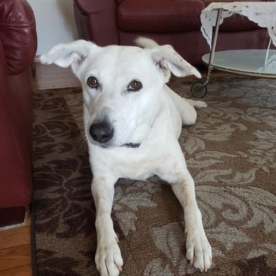 WFPBLise's profile picture. 